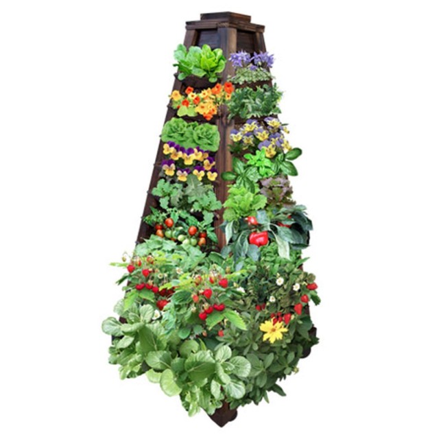 20 креативни идеи за вертикална градина