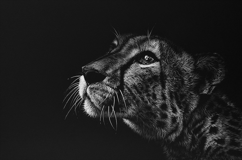 Изумително детайлни рисунки на диви животни