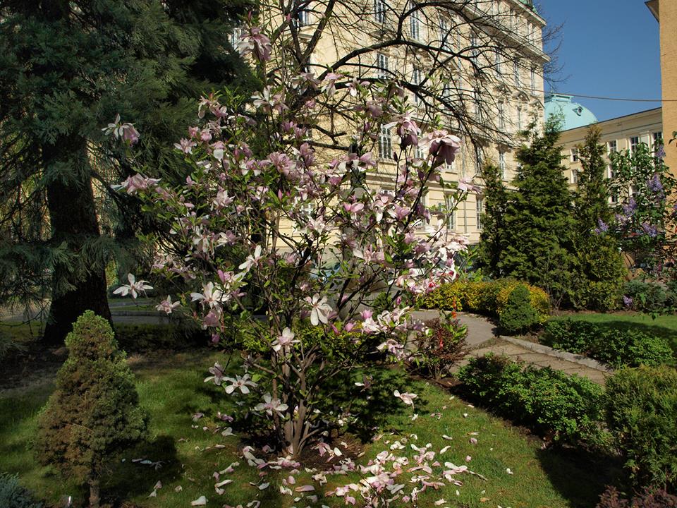 Пролет в София
