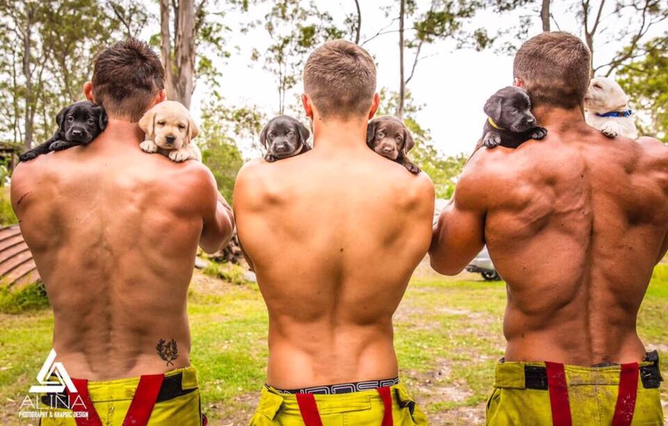 Горещи пожарникари позират с малки кученца