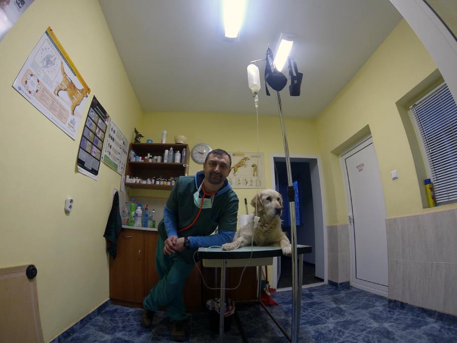 Ветеринарят с фотоапарат: д-р Илиян Стоянов