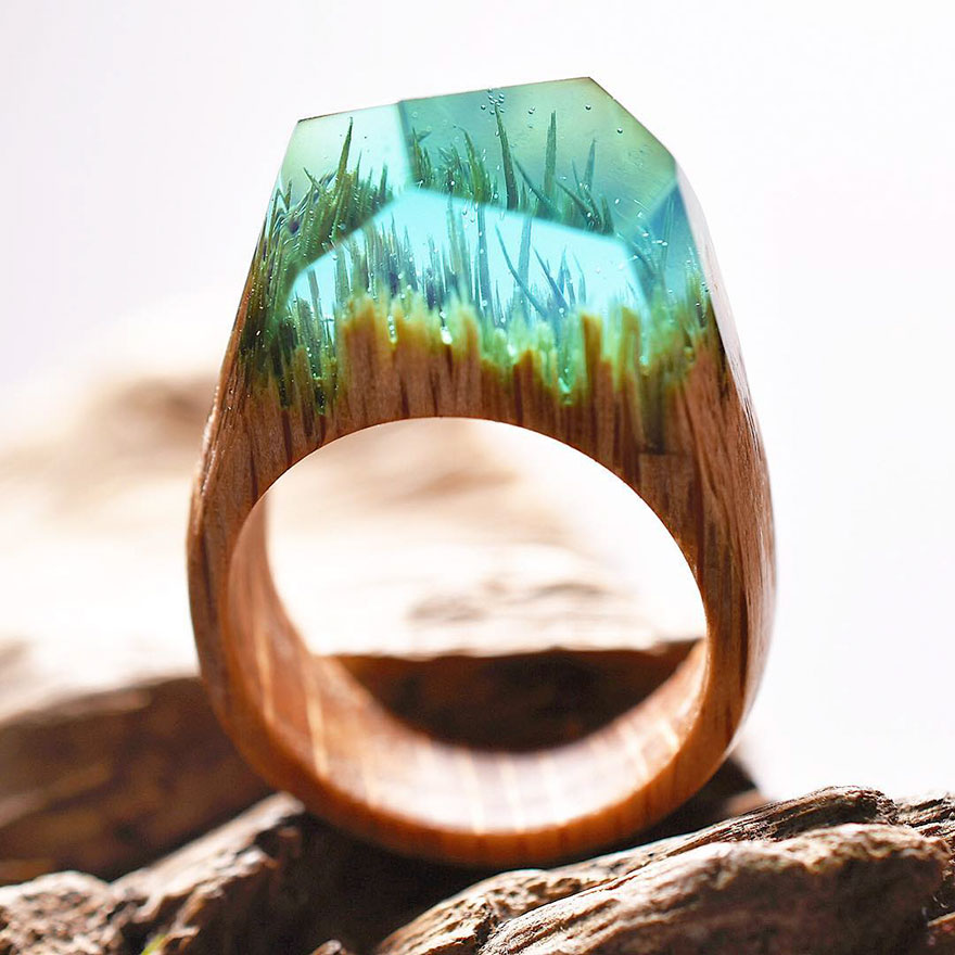 Уникални дървени пръстени, уловили красотата на четирите сезона