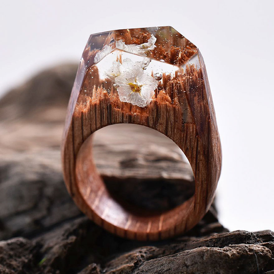 Уникални дървени пръстени, уловили красотата на четирите сезона