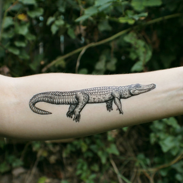 Временни татуировки, вдъхновени от разнообразието в природата