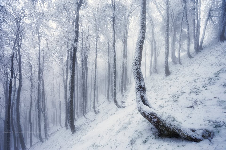 Красотата на снежна България в уникални снимки