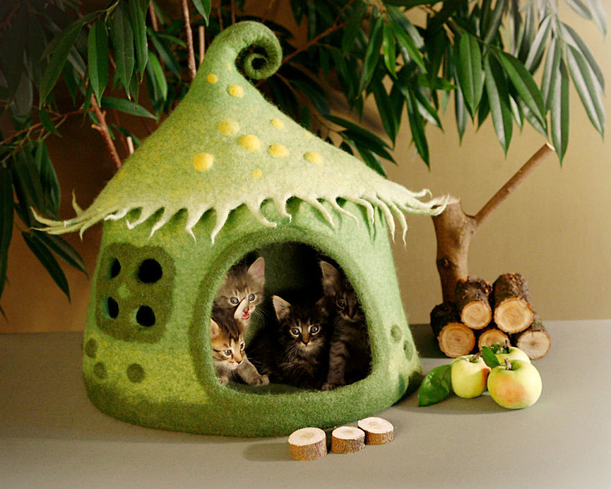 Сладурски къщички за котки