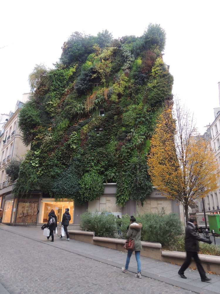 Зелен "гоблен" в Париж