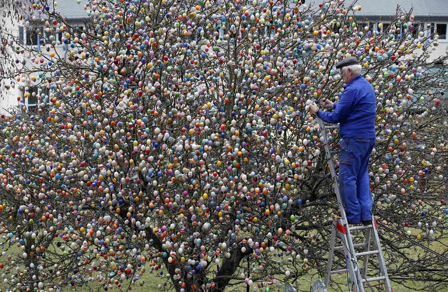 Великденско дърво, украсено с 10 000 яйца