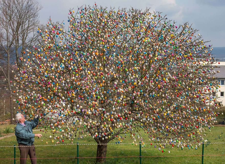 Великденско дърво, украсено с 10 000 яйца
