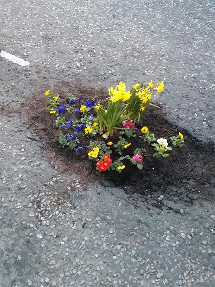 Цветя, засадени в дупки по улиците