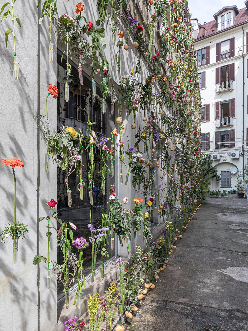 Уникална завеса от над 2000 цветя по фасадата на сграда в Милано