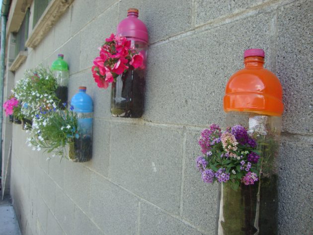 Направи си сам: оригинални саксии от пластмасови бутилки
