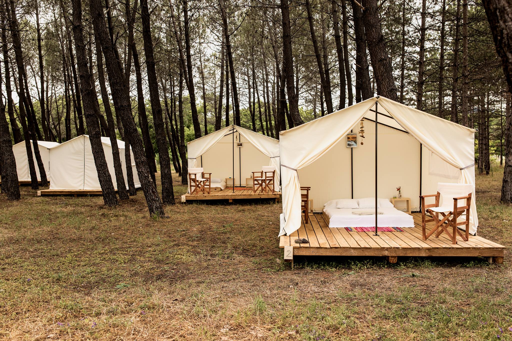 Кемпинг размещение. Vuoksa Camp глэмпинг. Палатка Призма глэмпинг. Глен кемпинг. Глэмпинг альпаки.