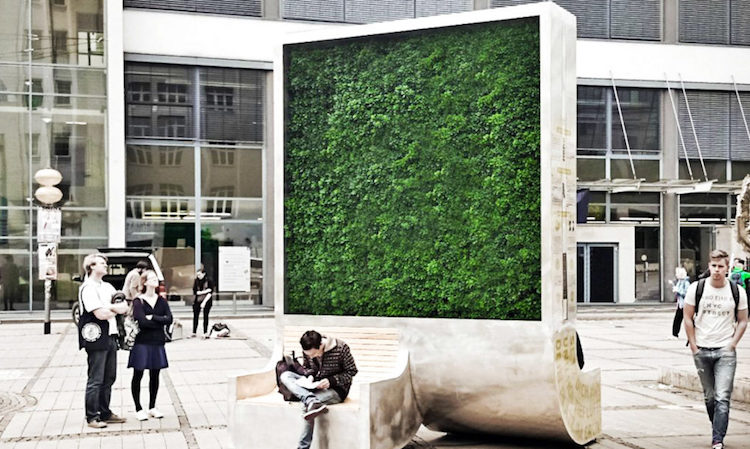 Зелена стена, която пречиства мръсния въздух
