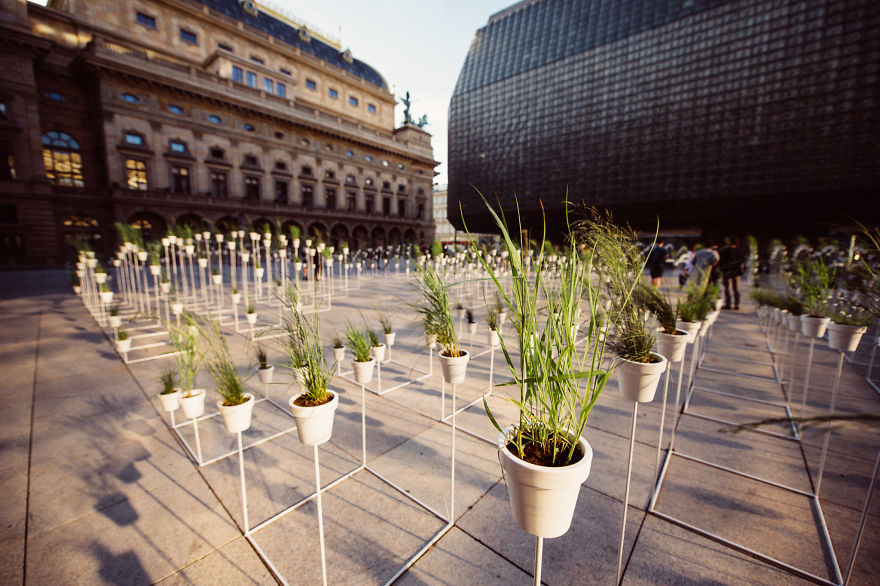 Арт инсталация от 1000 растения в центъра на Прага