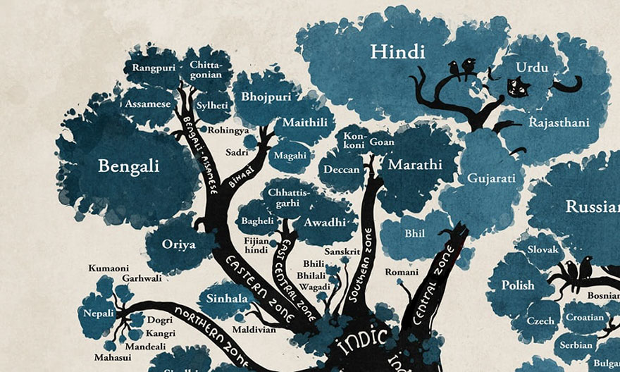 Удивително родословно дърво, показващо как езиците са свързани