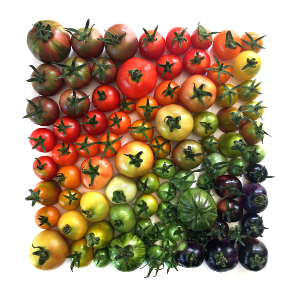 Богатото разнообразие от цветове на любимите ни плодове и зеленчуци