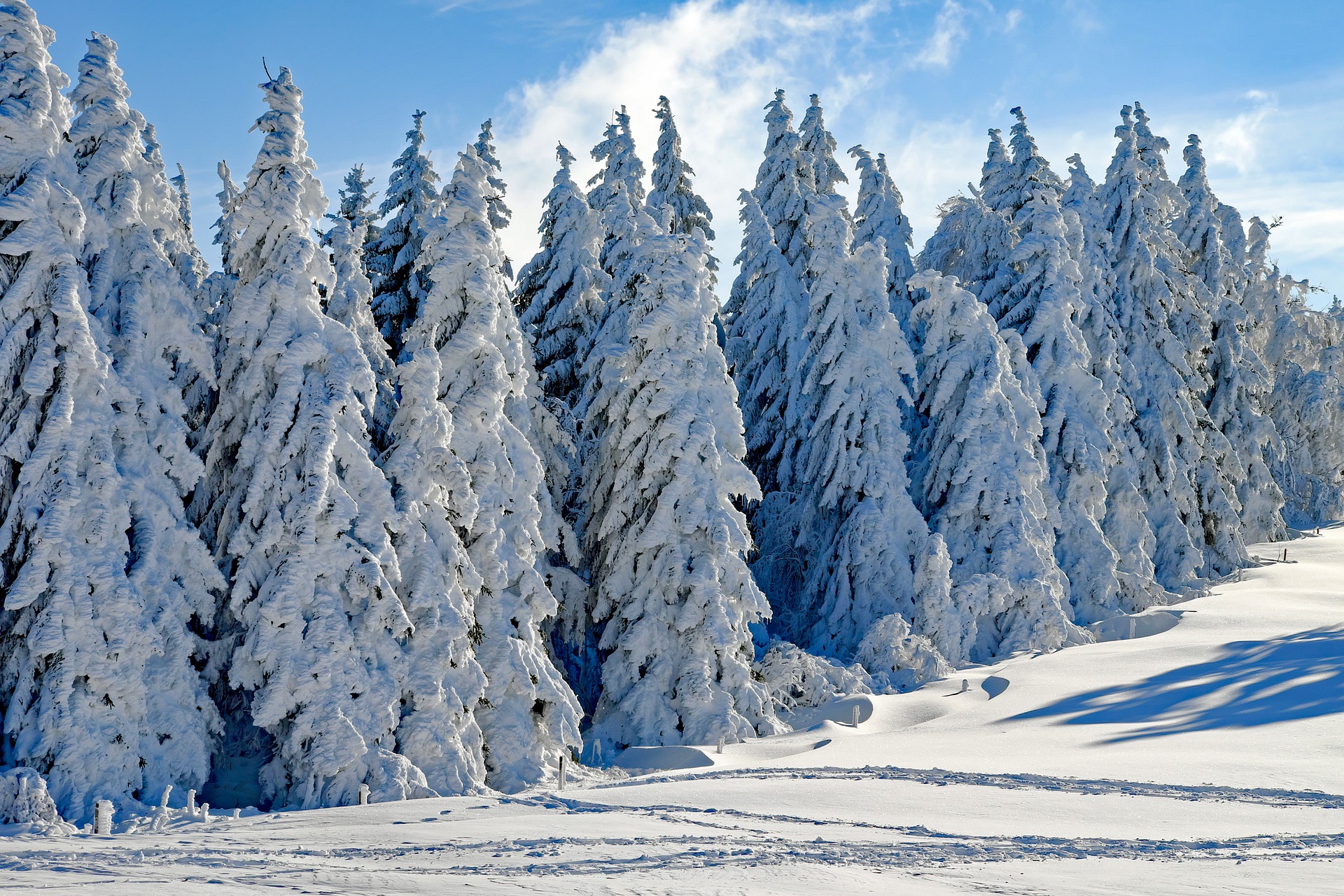 Магията на зимата в 20 снежни снимки