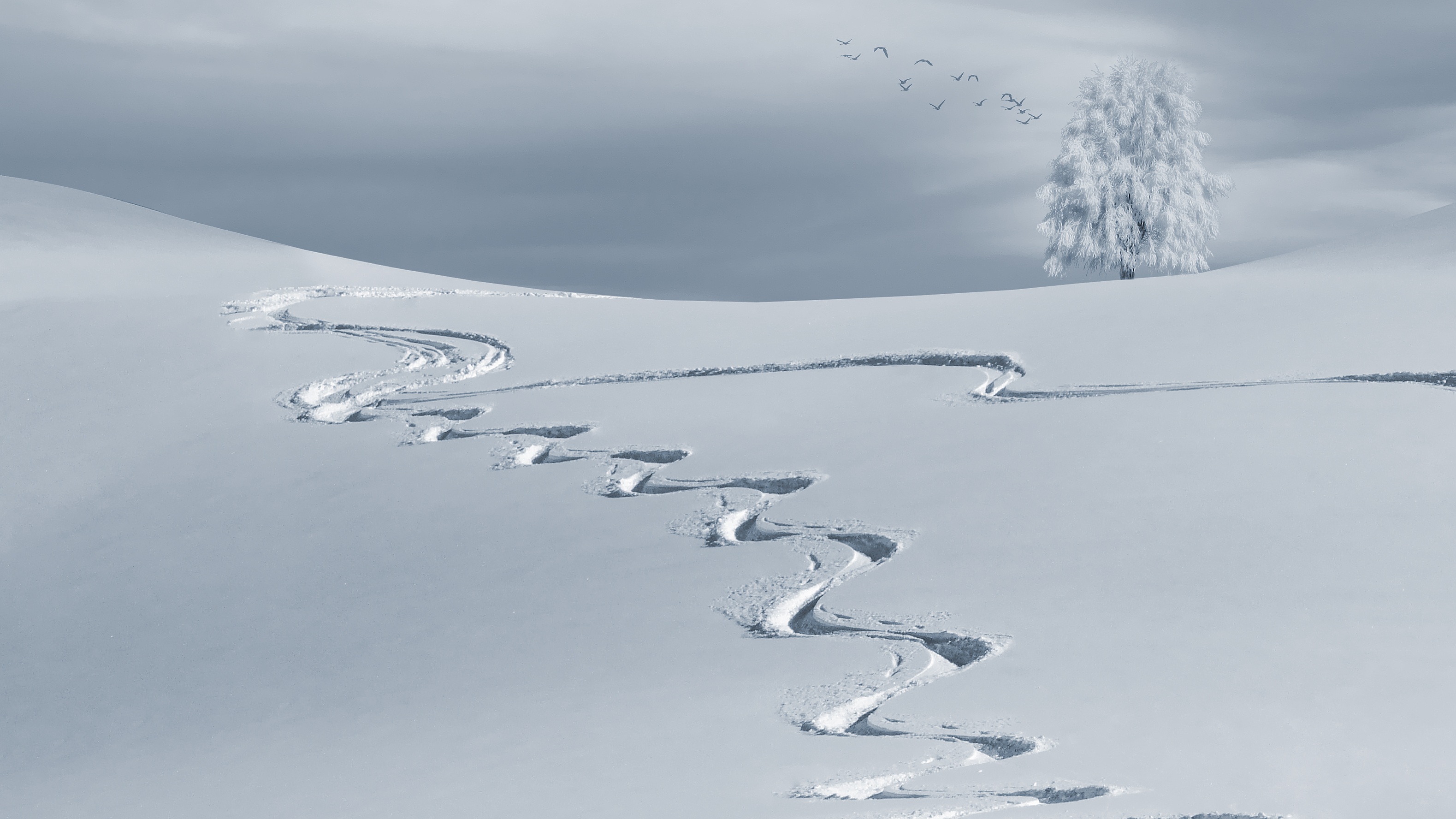 Магията на зимата в 20 снежни снимки