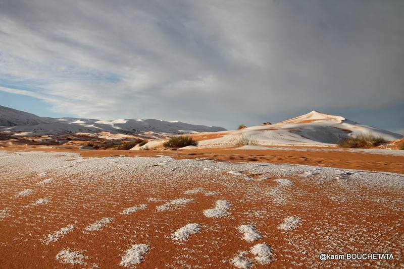 Сняг в пустинята Сахара - вижте нетипичната гледка