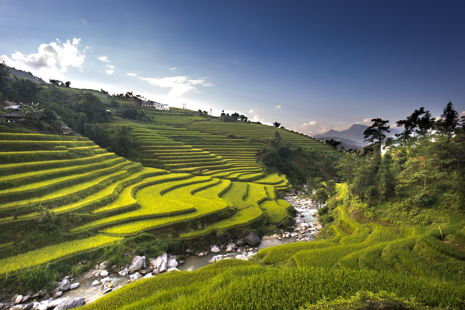 Зелената магия на оризовите тераси във Виетнам