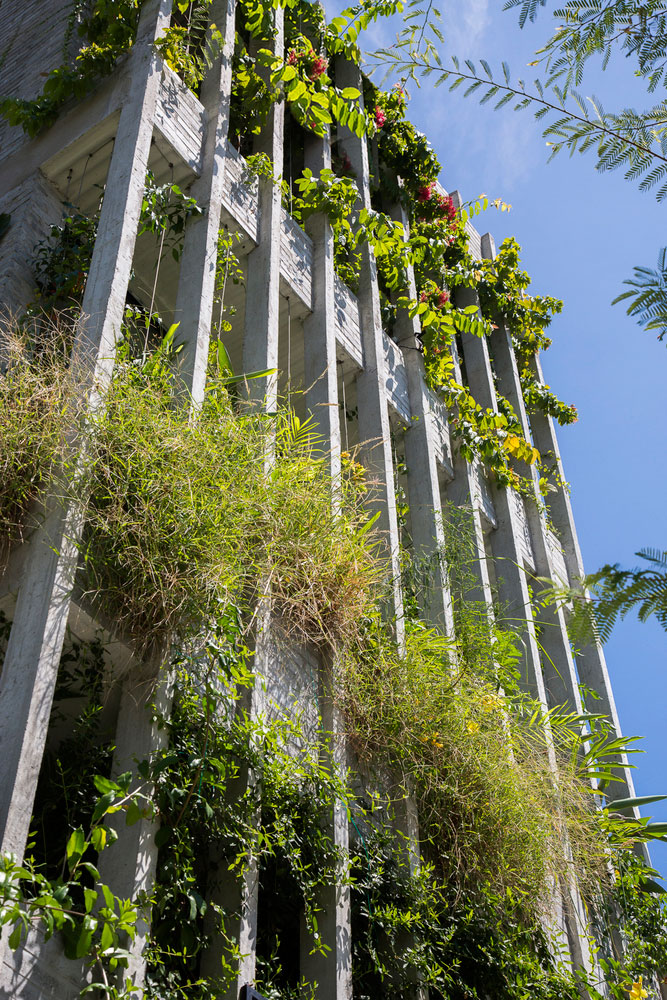 Уникална офис сграда, изградена от зеленина