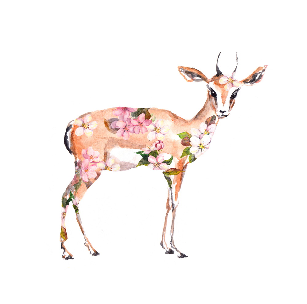 Животни с цветя - прекрасни илюстрации