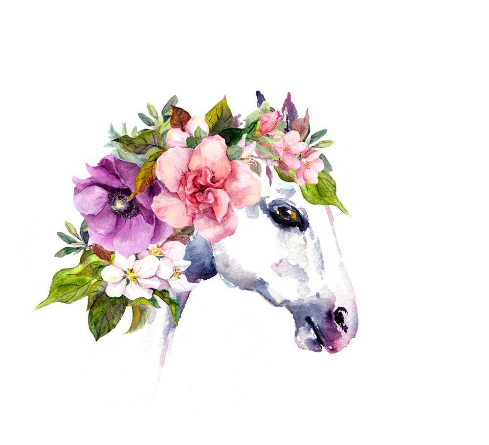 Животни с цветя - прекрасни илюстрации