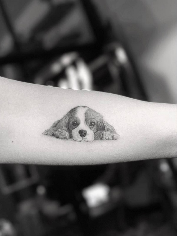Сладки татуировки с кучета