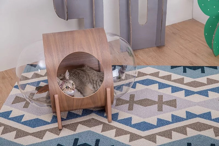 Оригинални и удобни легла за котки