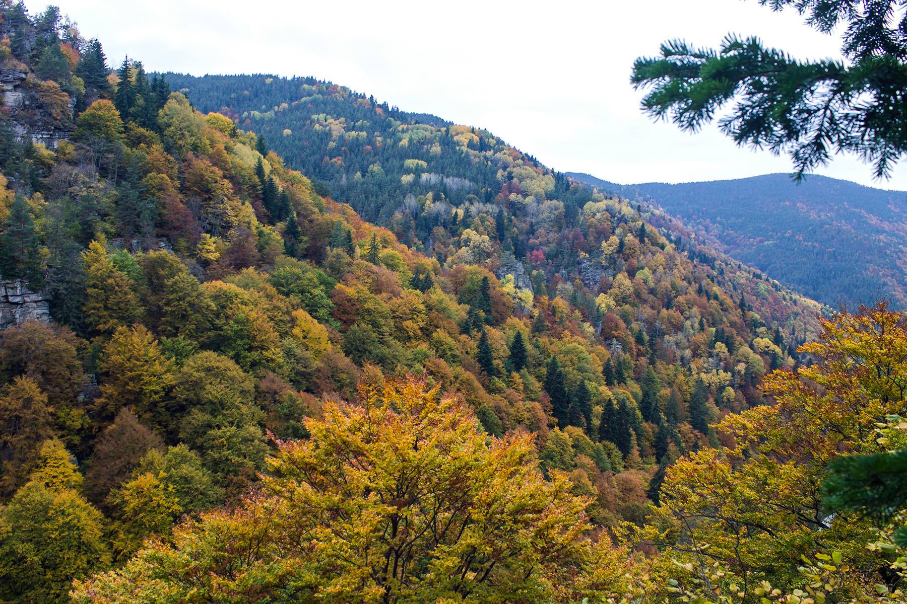 Есен в Западни Родопи - великолепни снимки, които трябва да видите