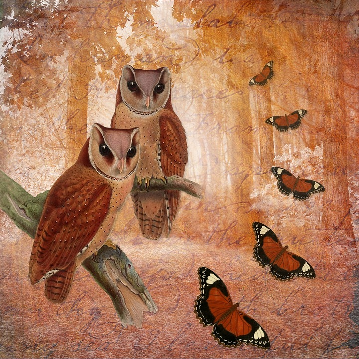 Симпатични сови в сладки илюстрации