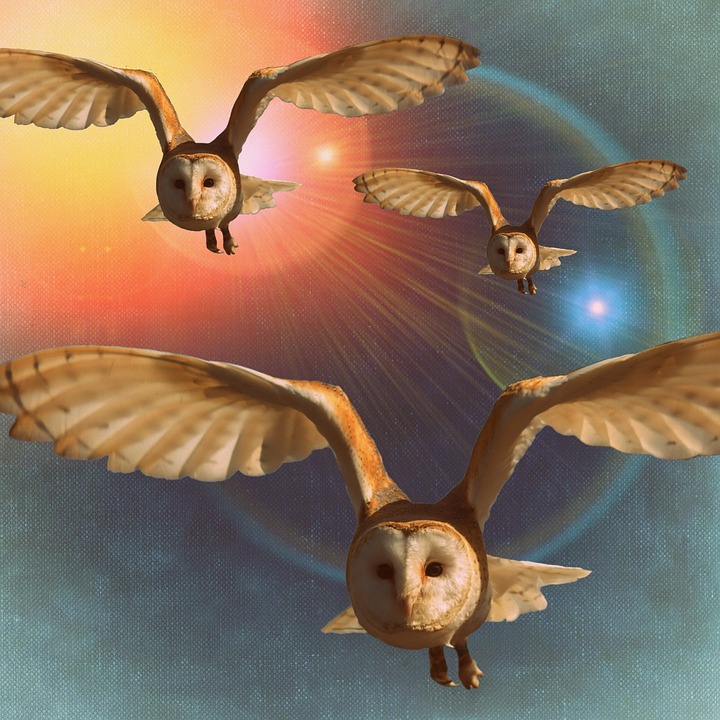 Симпатични сови в сладки илюстрации