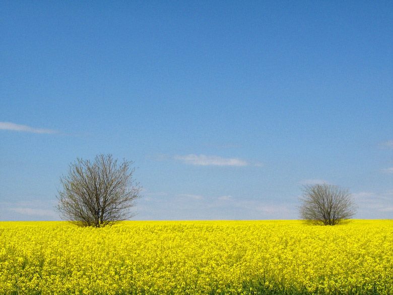 Минималистична фотография с цветни акценти