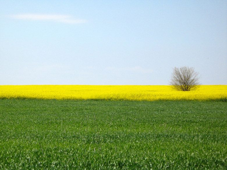 Минималистична фотография с цветни акценти