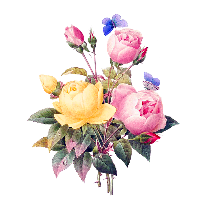 Разни сладки илюстрации с цветя