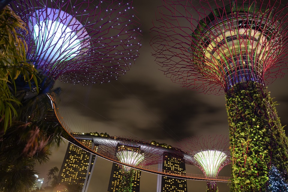 Гигантските супердървета на Сингапур