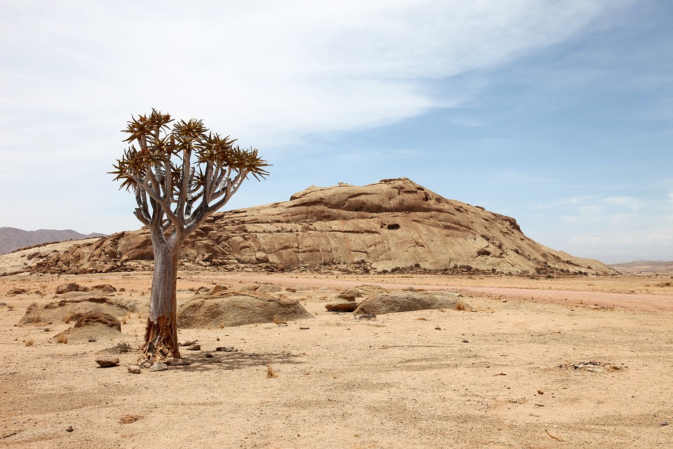 Пустинята Намиб - безкрайно море от пясък