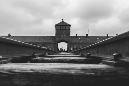 Да преживееш Холокоста: историята на Сам и Езра