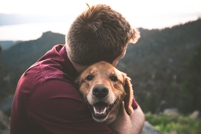 Как терапевтичните кучета могат да подобрят психическото и физическото ни здраве