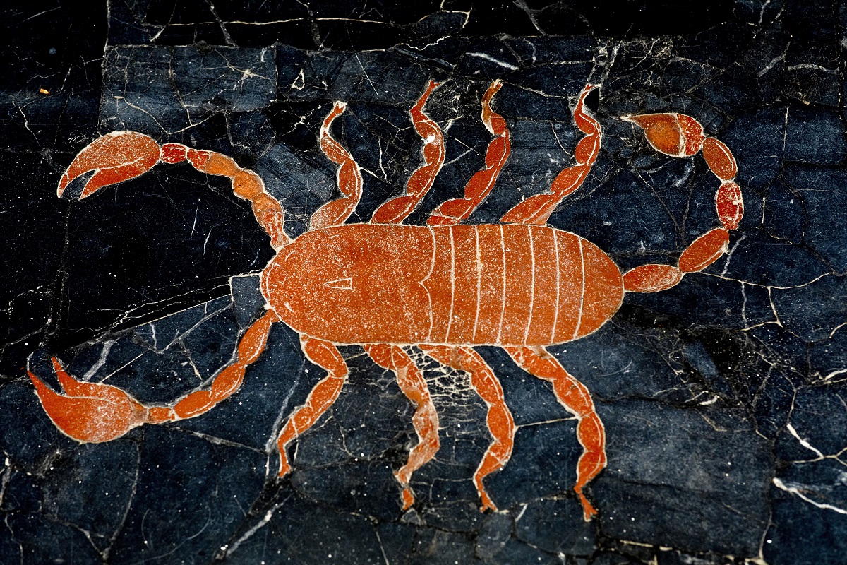 Годишен хороскоп за зодия Скорпион – 2023 година