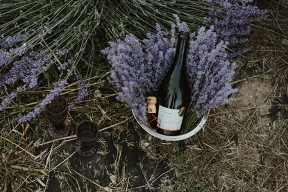 Как да изберем вино според сезона и храната