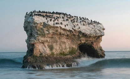 Животът като поток – приемане на промяната и смъртта