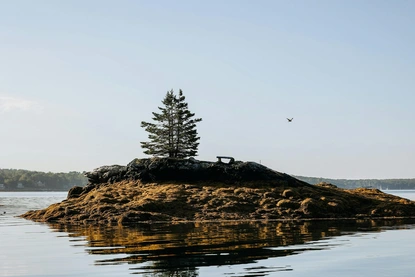 Смъртта не е край - тя е праг към друго съществуване