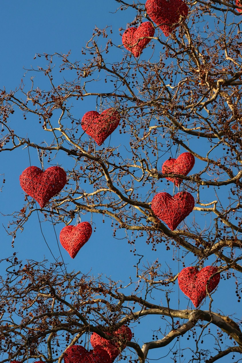 4 начина да променим поведението си чрез силата на психологията